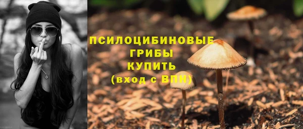 MDMA Горняк